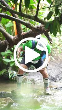 BIB:  <button type="button" onclick="openModal(27487367)" class="btn btn-primary btn-sm float-right" data-toggle="modal" data-target=".modal-high-quality">
                <i class="fa fa-download"></i> Download
                </button>